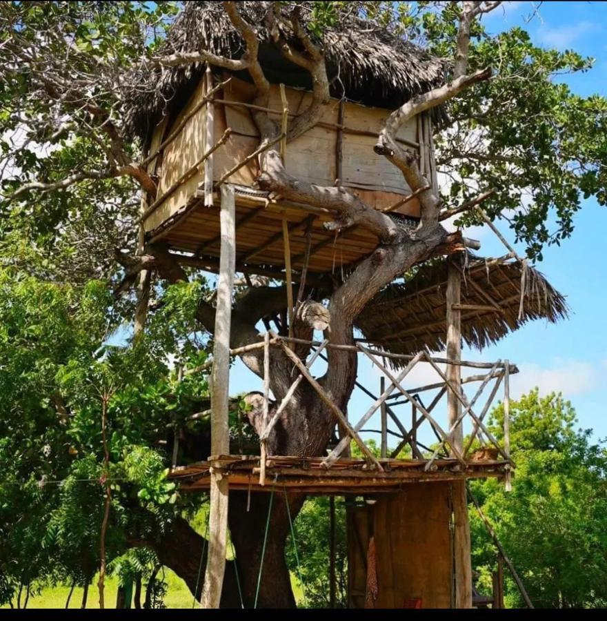 Mida Creek Nature Camp Hotel Watamu Eksteriør billede