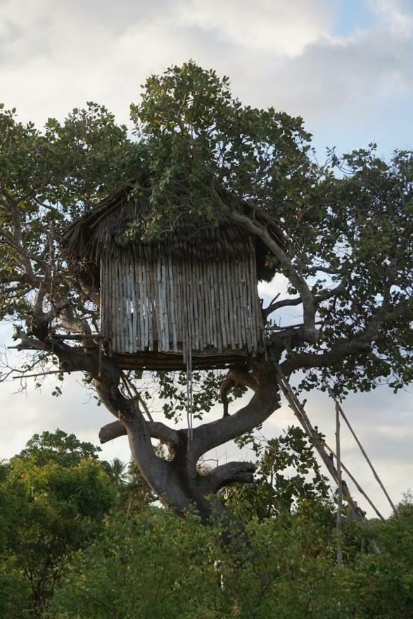 Mida Creek Nature Camp Watamu Eksteriør billede