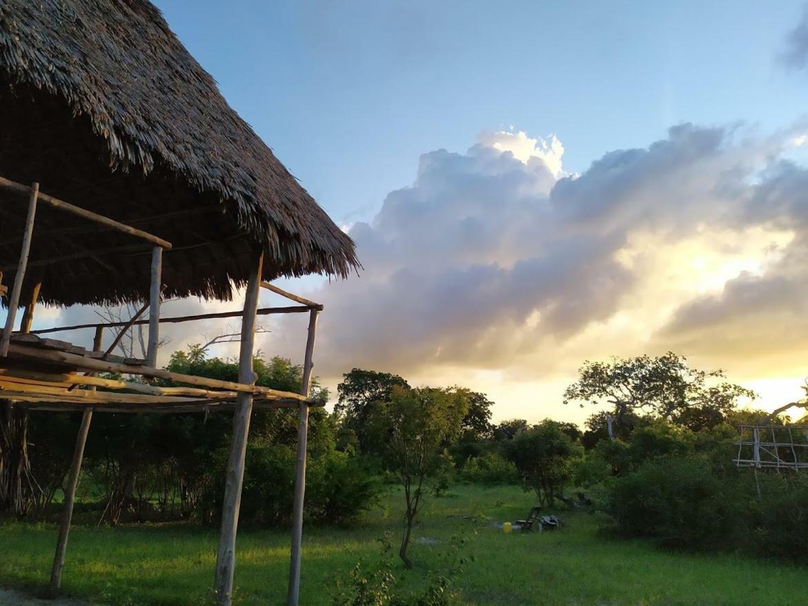 Mida Creek Nature Camp Watamu Eksteriør billede