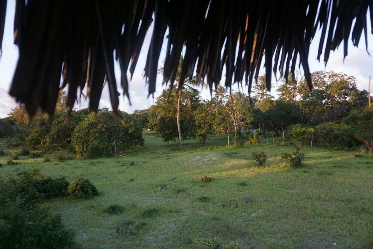 Mida Creek Nature Camp Watamu Eksteriør billede