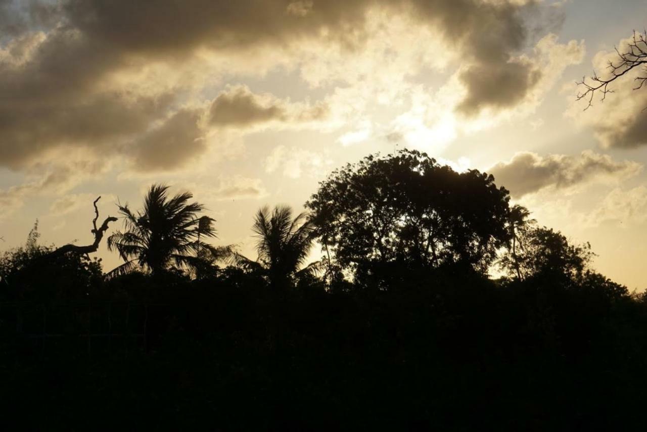 Mida Creek Nature Camp Watamu Eksteriør billede