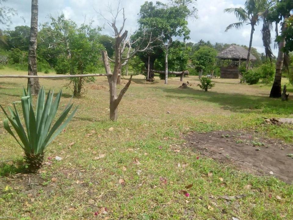 Mida Creek Nature Camp Watamu Eksteriør billede