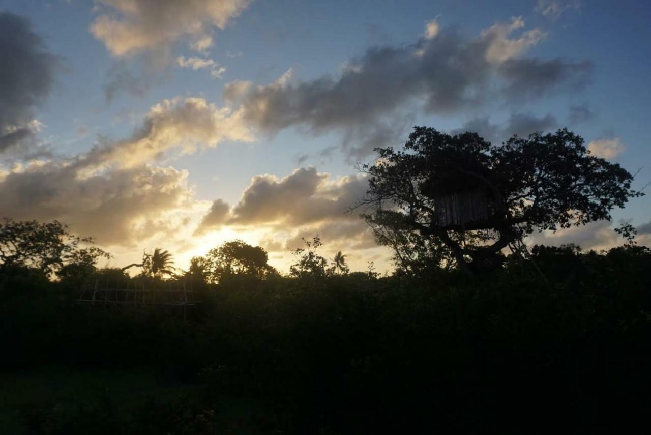 Mida Creek Nature Camp Watamu Eksteriør billede