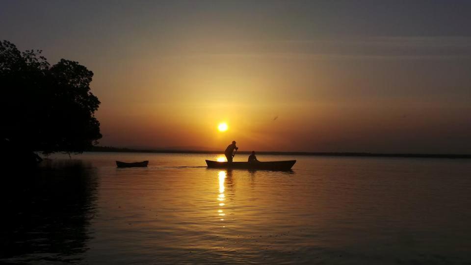 Mida Creek Nature Camp Watamu Eksteriør billede